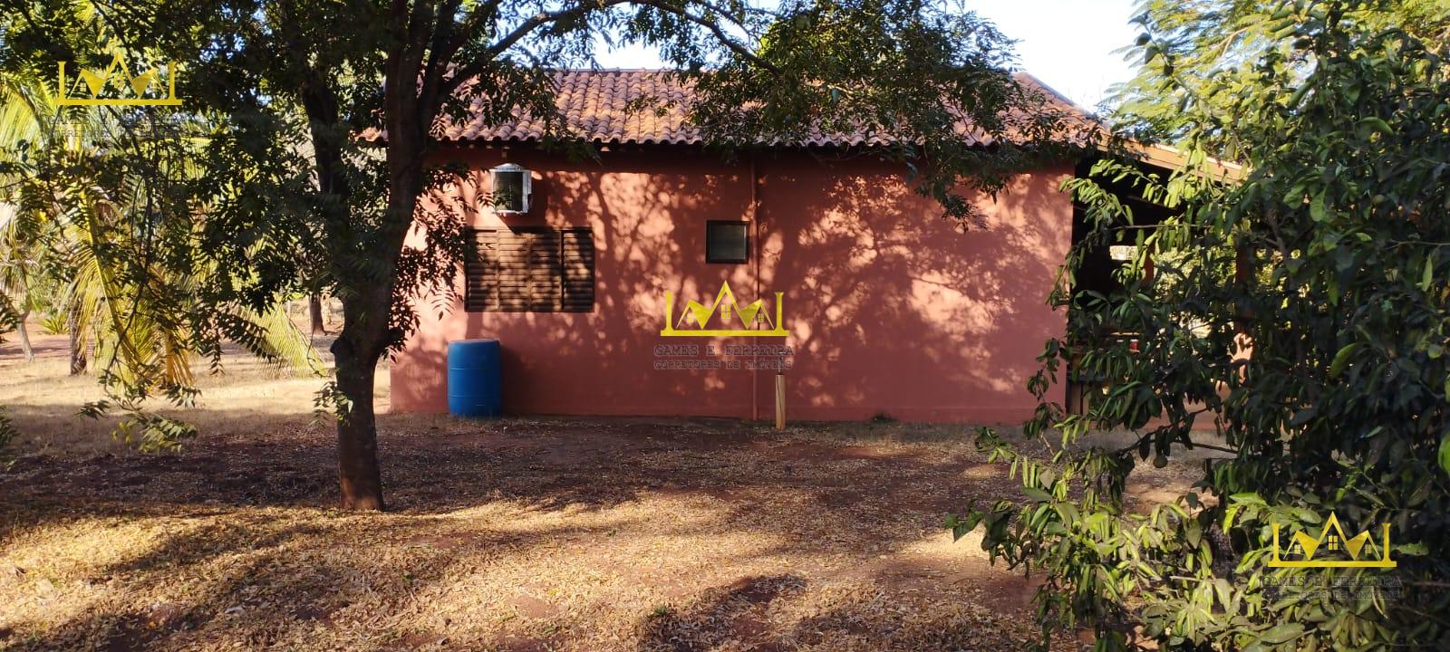 Chácara formada em seringueira está a venda no município de américo de campos