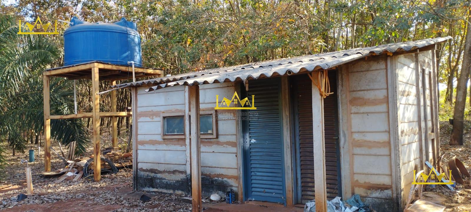 Chácara formada em seringueira está a venda no município de américo de campos