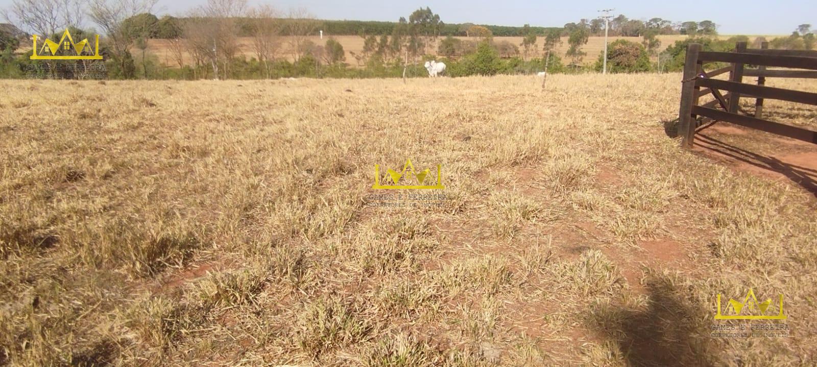 Chácara com pastagem e curral a venda na cidade de Américo de Campos