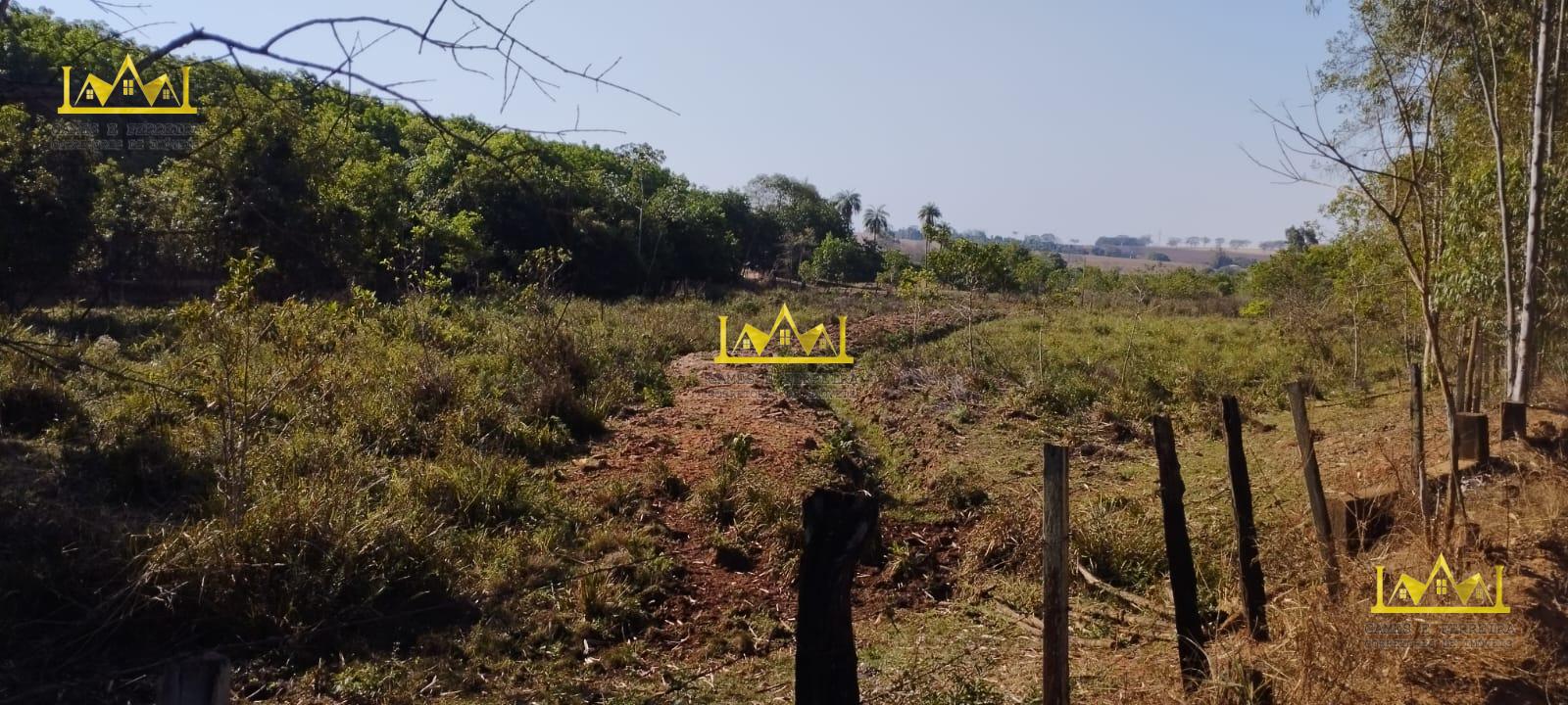 Chácara com pastagem e curral a venda na cidade de Américo de Campos