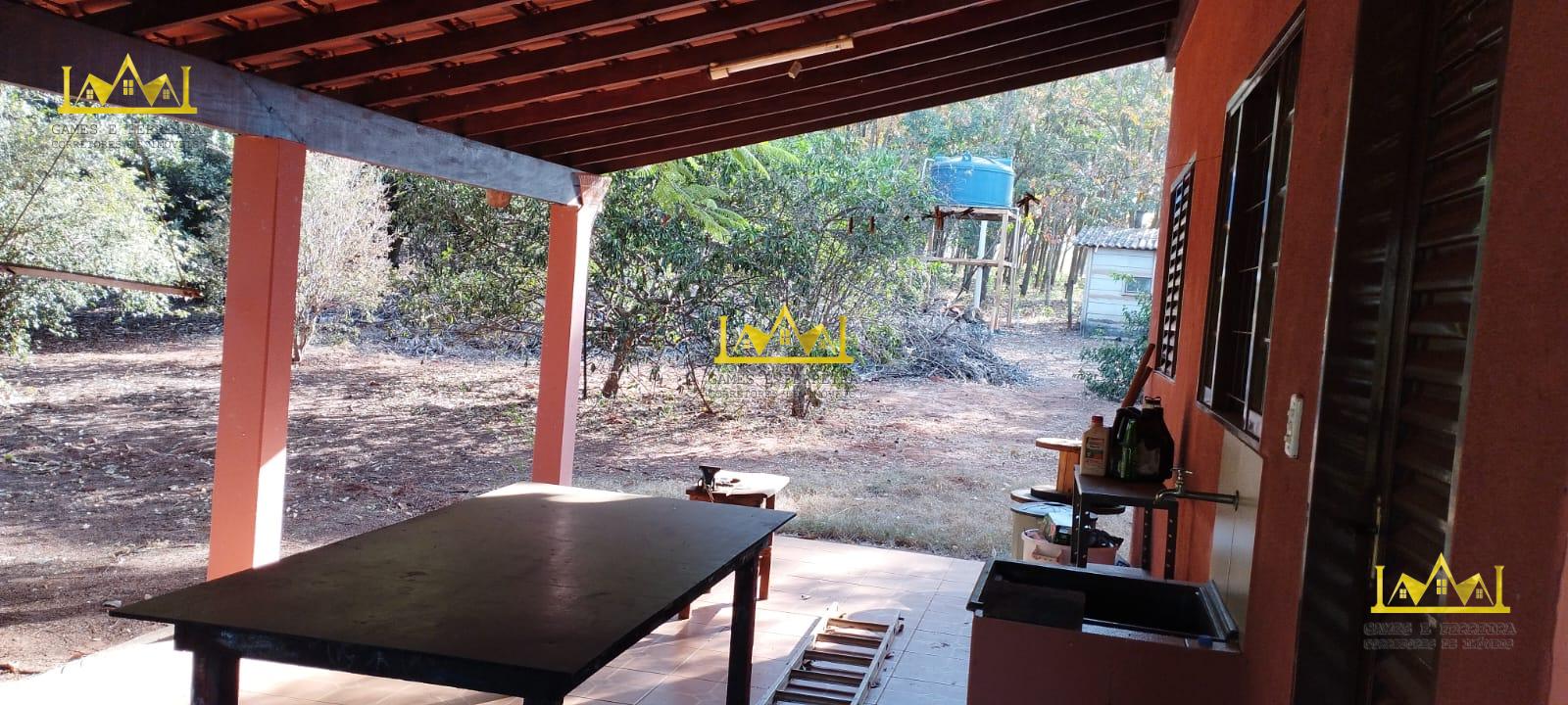 Chácara formada em seringueira está a venda no município de américo de campos