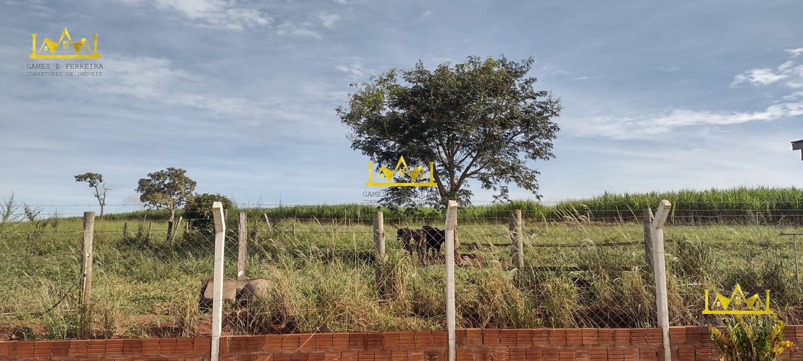 chácara a venda em Américo de Campos