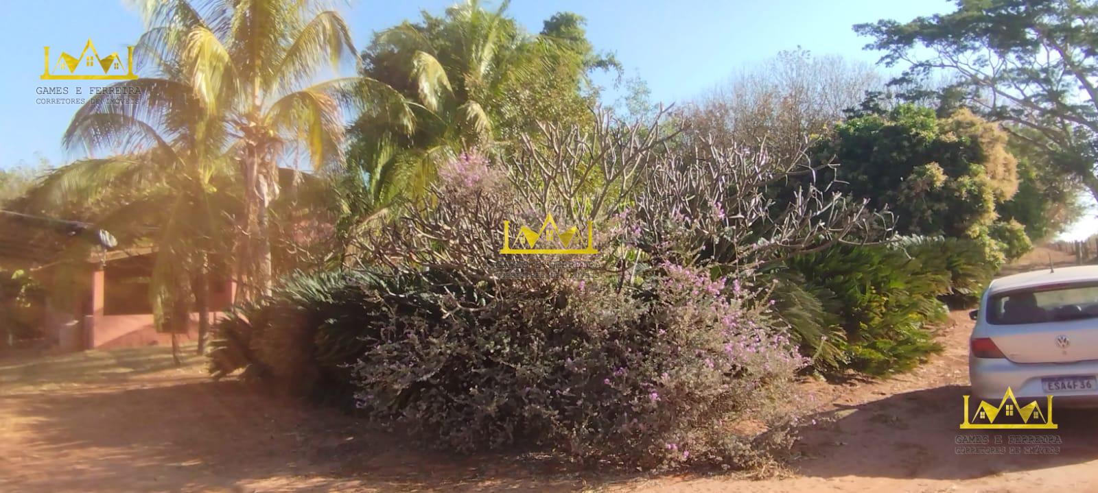 Chácara formada em seringueira está a venda no município de américo de campos